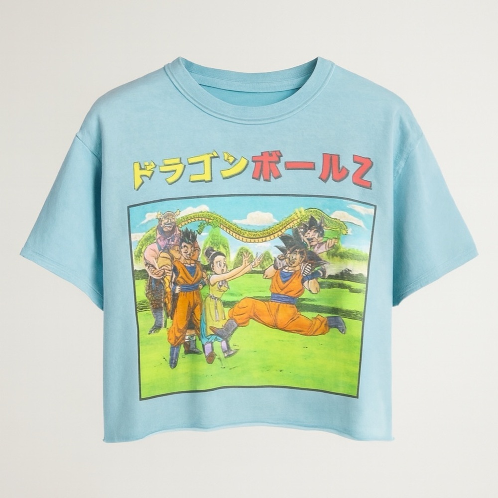 Dragonballz Crop Top Tee S